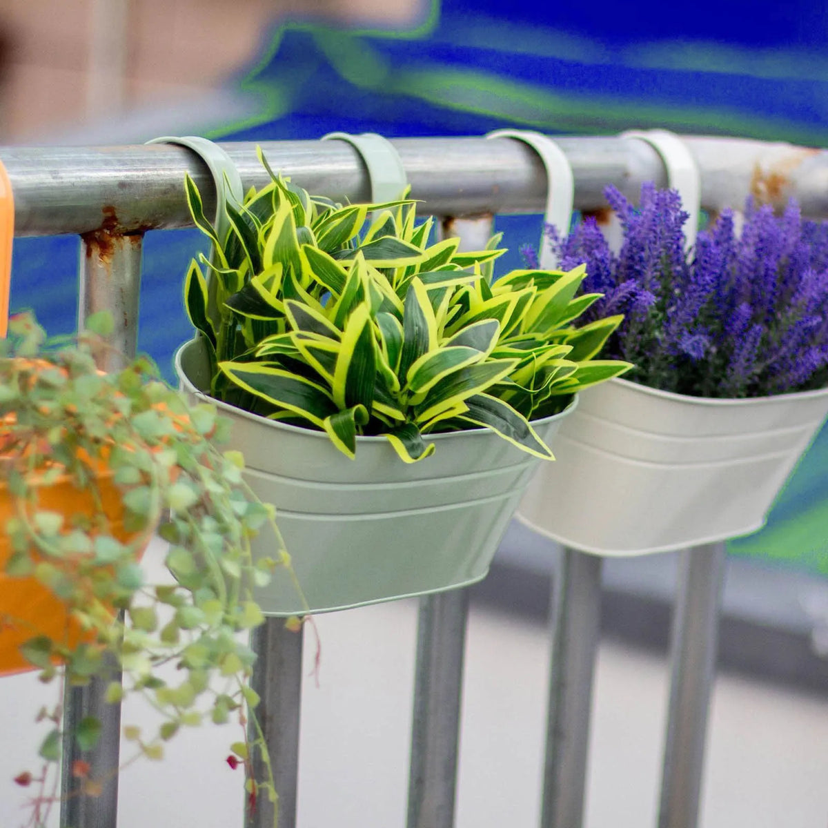 A modern boho metal hanging planter with vibrant yellow and green foliage is displayed on a silver railing.