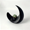 A black, modern moon-shaped decorative vase holds a small succulent plant.