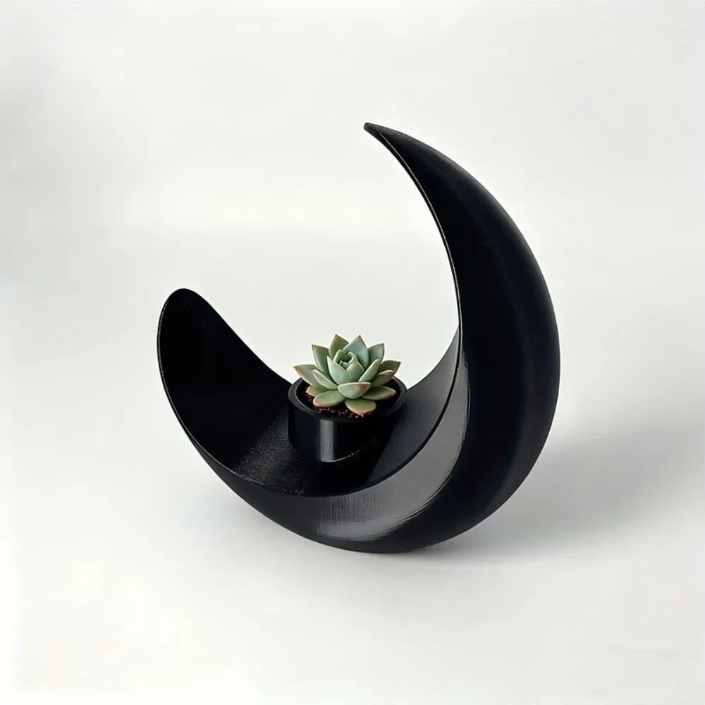A black, modern moon-shaped decorative vase holds a small succulent plant.