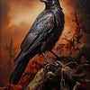 A dark bird with black feathers stands on a gnarled tree root against an orange and dark background.