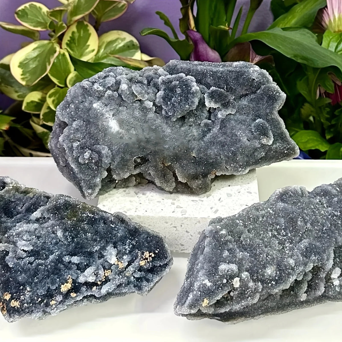 A cluster of dark gray natural zinc crystals displayed on a white surface with green foliage in the background.