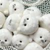 A collection of small white seal plush keychains nestled in a white mesh bag.