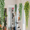 Three lifelike faux eucalyptus hanging plants in green and yellow cascade from the ceiling.