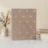 A brown photo album with gold foil hearts is displayed on a white surface next to a potted plant.
