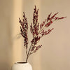 Dried red silk lover grass sprigs in a white vase against a neutral background