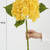 A yellow hydrangea flower cluster on a green stem with accompanying leaves, shown against a white background.