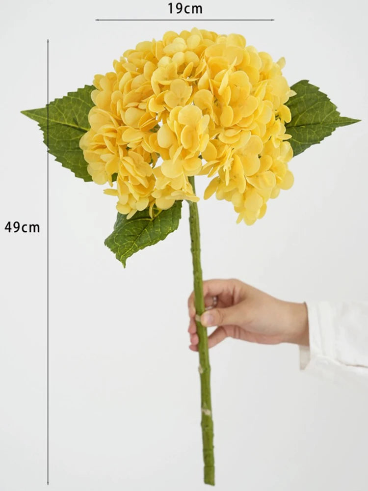 A yellow hydrangea flower cluster on a green stem with accompanying leaves, shown against a white background.