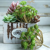 Artificial Succulent Bonsai for Desk & Home Decor