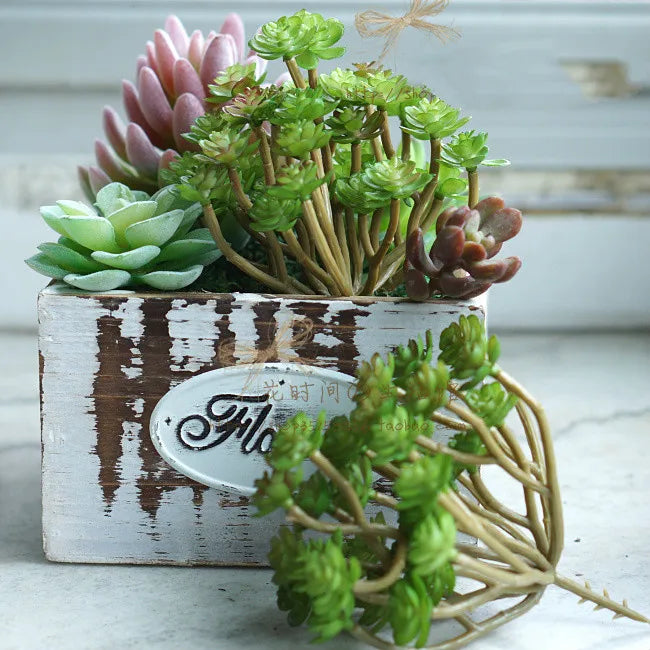 Artificial Succulent Bonsai for Desk & Home Decor