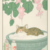 A vintage illustration of a cat's face submerged in fluffy white material, surrounded by pink blossoms and green leaves.