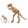 A detailed dinosaur skeleton model showing the anatomy and structure for kids.