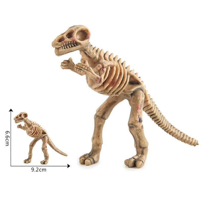 A detailed dinosaur skeleton model showing the anatomy and structure for kids.