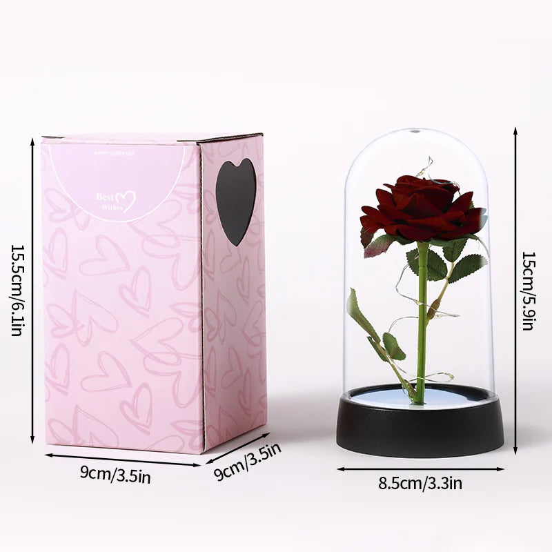 A pink box containing an eternal rose displayed inside a clear glass dome.