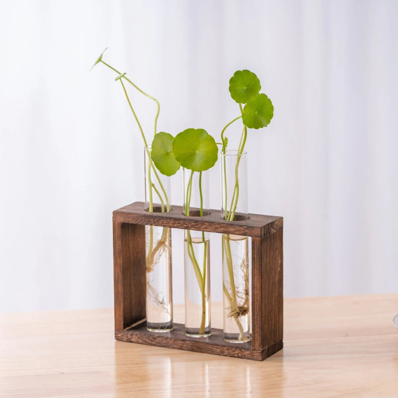 A wooden planter box holds several glass test tube vases with green plants.