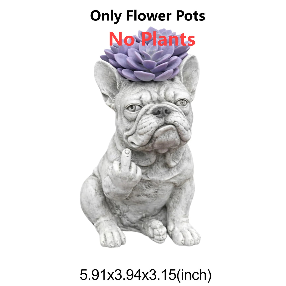 Un pot en résine gris en forme de bouledog français assis avec des pots de fleurs violets sur la tête.