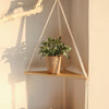 Étagère flottante en bois bohème avec une plante en pot et des pierres décoratives.