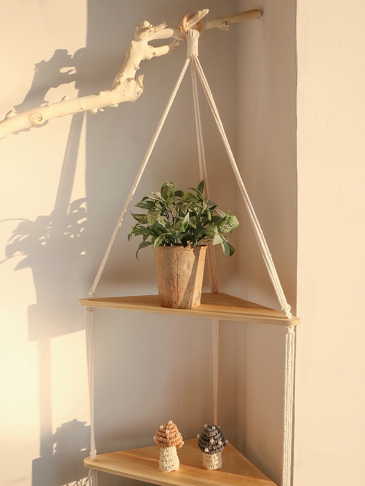 Étagère flottante en bois bohème avec une plante en pot et des pierres décoratives.