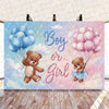 A gender reveal decoration featuring blue and pink balloons with teddy bears, set against a light background.
