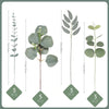 A set of five artificial eucalyptus leaf stems displayed vertically with measurements for home decor.