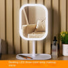 A white LED three-color lamp makeup mirror with a round frame and stand in a neutral indoor setting.