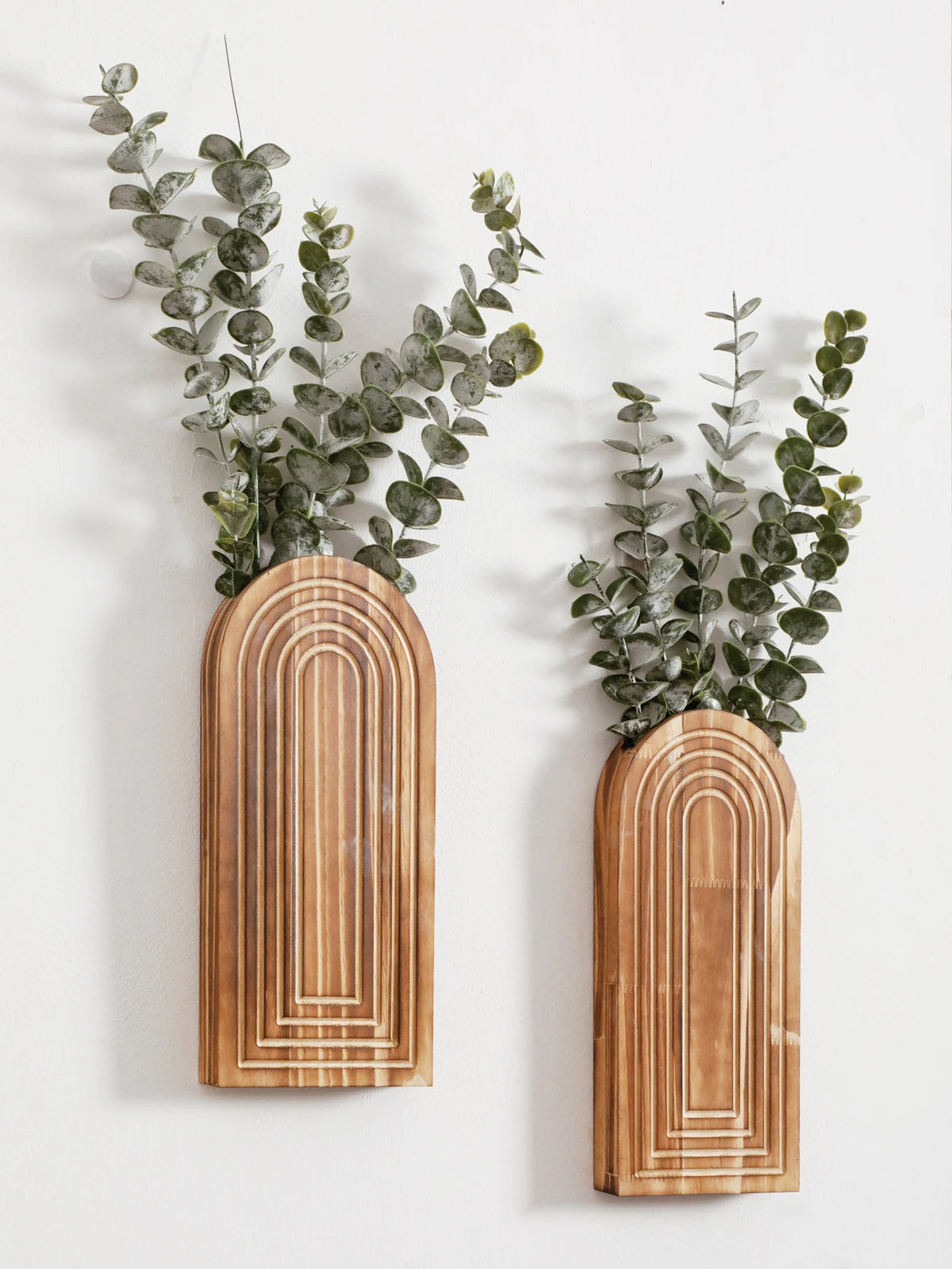 Un par de jarrones de pared de madera arqueados hechos de madera clara, sosteniendo follaje de eucalipto verde.