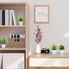 A wooden shelf display featuring a potted artificial bonsai plant with eucalyptus accents and various books.