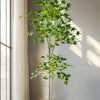 A tall artificial maple tree with silk green leaves is displayed in a white pot next to a window.