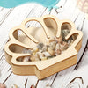 Wooden Seashell Display Box with Acrylic Window