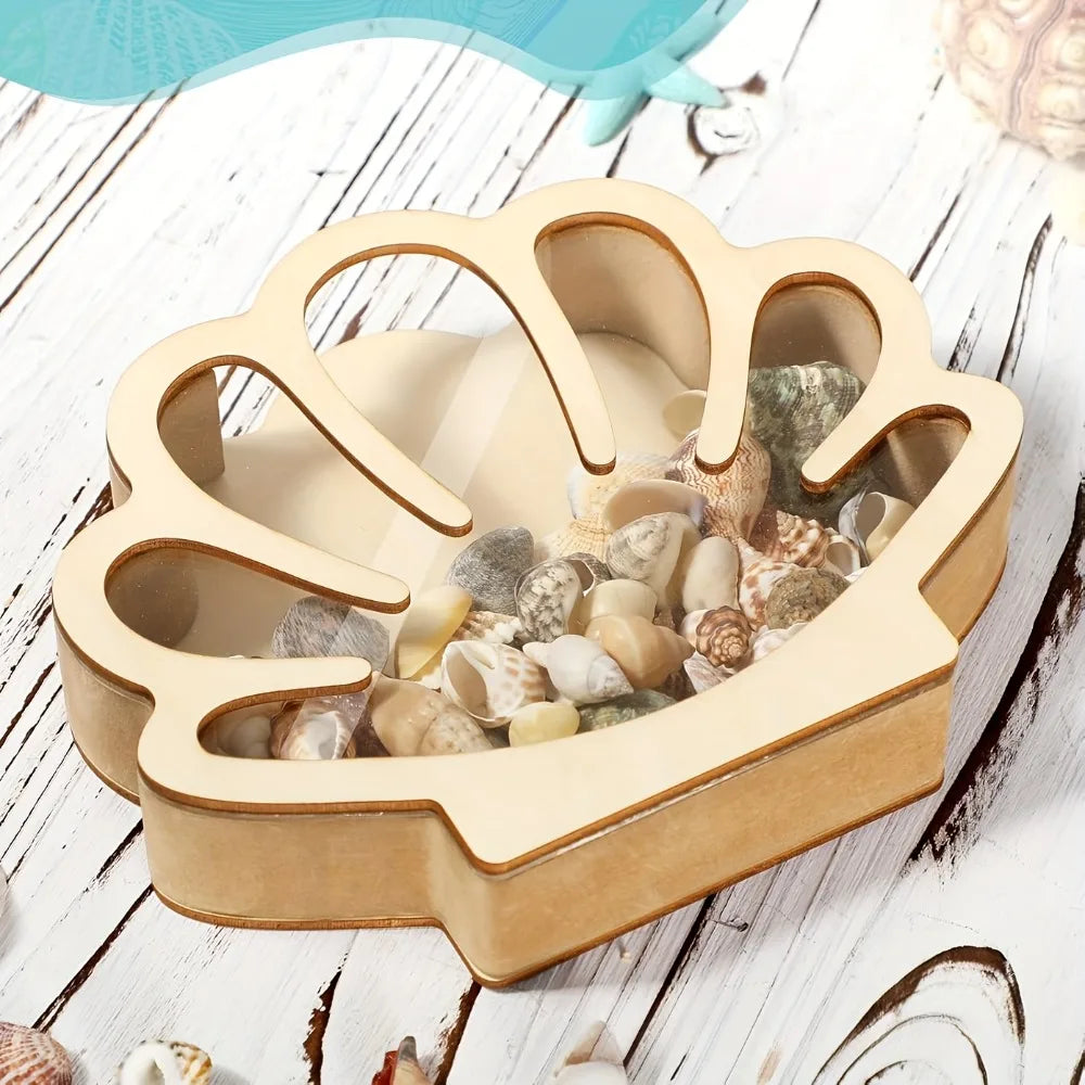 Wooden Seashell Display Box with Acrylic Window