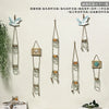 A collection of decorative glass terrariums featuring various plant arrangements and designs.