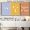 Ultra-Clear Photo Canvas Print (3-Pack, Vertical)