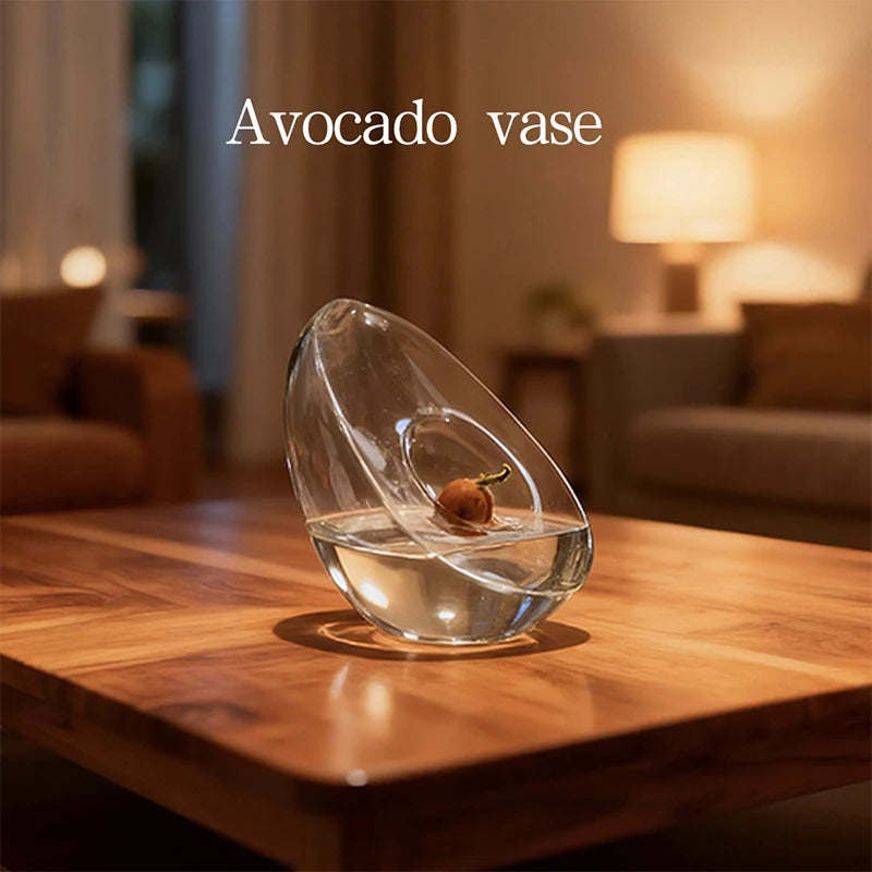 A clear glass vase holding an avocado seed on a wooden table.