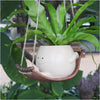 A white ceramic ornament shaped like a smiling face is hanging from a plant vine.