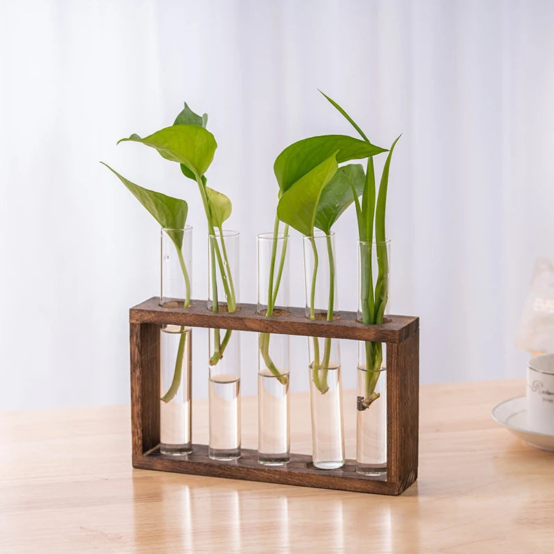 A wooden planter holds several glass test tube vases with green plants growing in them.