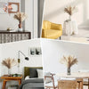 A dried flower bouquet of pampas grass displayed in various interior settings.