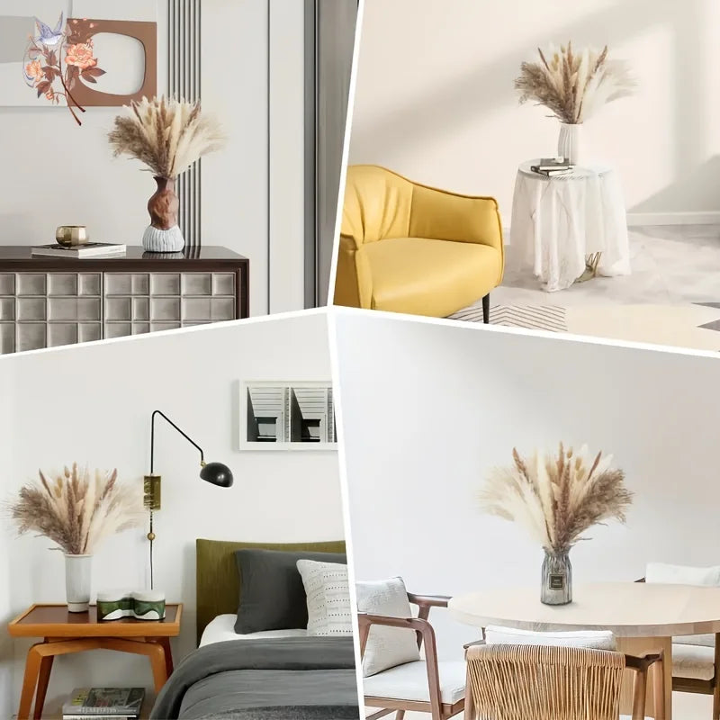 A dried flower bouquet of pampas grass displayed in various interior settings.