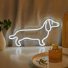 A glowing white neon sign shaped like a dog lies on a table next to an amber glass bottle.