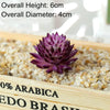 A small, deep purple artificial succulent bonsai ball rests on a wooden tray filled with light-colored gravel.