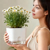 A woman holds a white self-watering planter with a clear reservoir containing fresh white daisies.