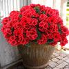 Elegant Silk Rose Bouquet – 35cm Artificial Flower Arrangement