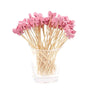 Eco-Friendly Bamboo Cocktail Picks with Cute Toppers (100 Pack)