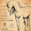 Illustration of a unicorn horse with long hair and a bottle of unicorn horn powder