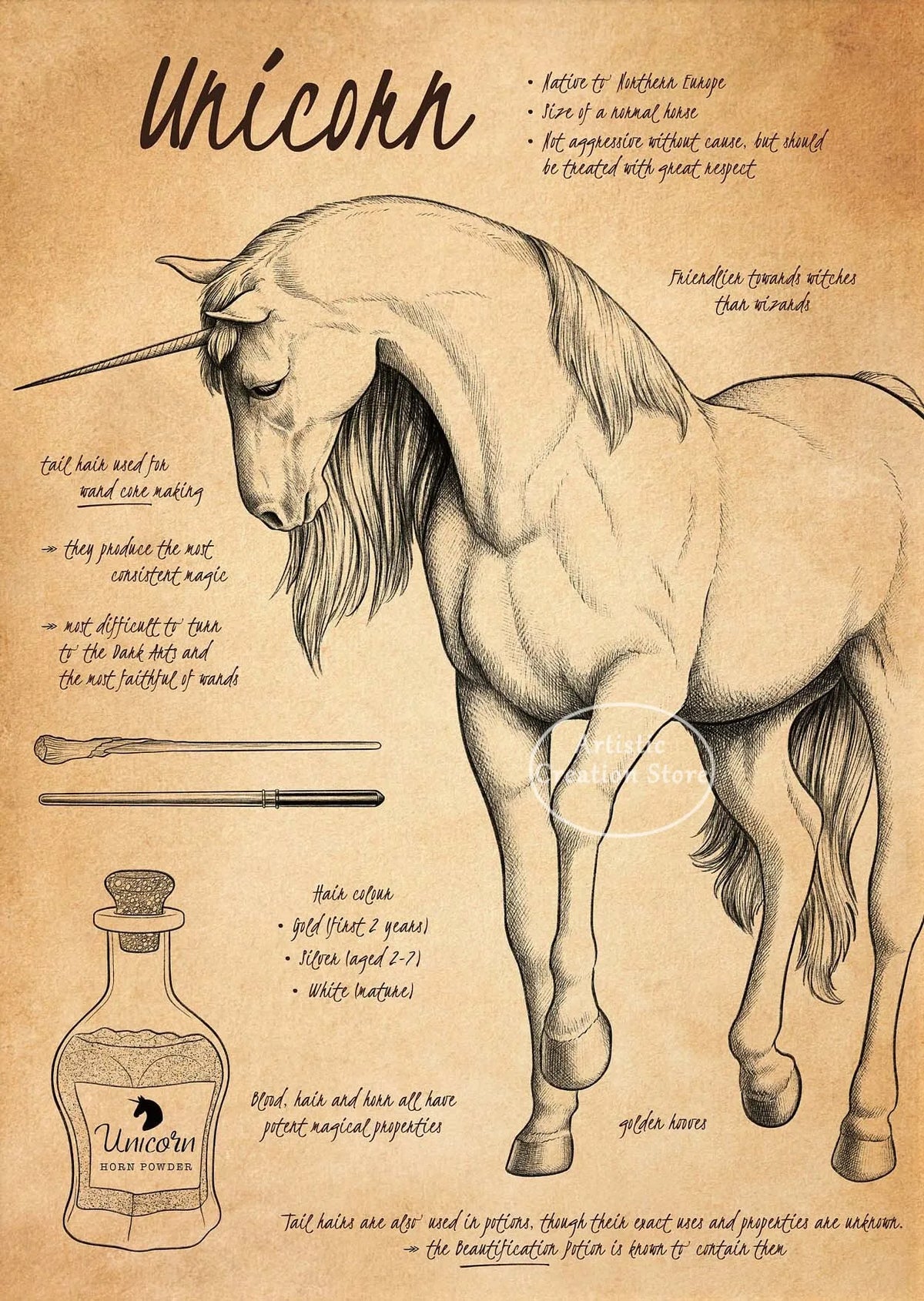 Illustration of a unicorn horse with long hair and a bottle of unicorn horn powder