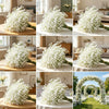 A collection of white baby's breath bouquets and arrangements used for weddings and events.