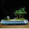 Glazed ceramic bonsai flower pot with a miniature green tree planted in a natural landscape.