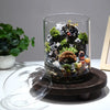 A clear glass vase filled with moss and rocks featuring small plants and natural elements.
