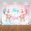 A pink and blue gender reveal backdrop featuring teddy bears and balloons with the text Boy or Girl
