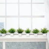 A row of small green artificial bonsai plants with eucalyptus accents displayed on a white windowsill.
