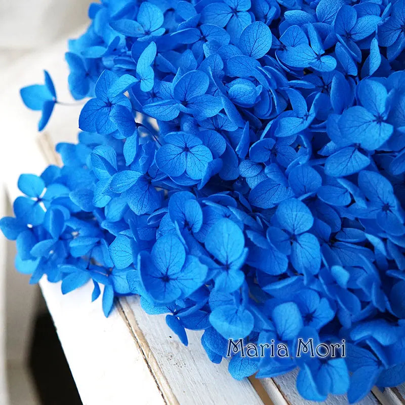 A dense cluster of vibrant blue dried hydrangea florets used for home decor.