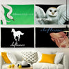 A wall decor display featuring flags and photographic prints of the Deftones band.